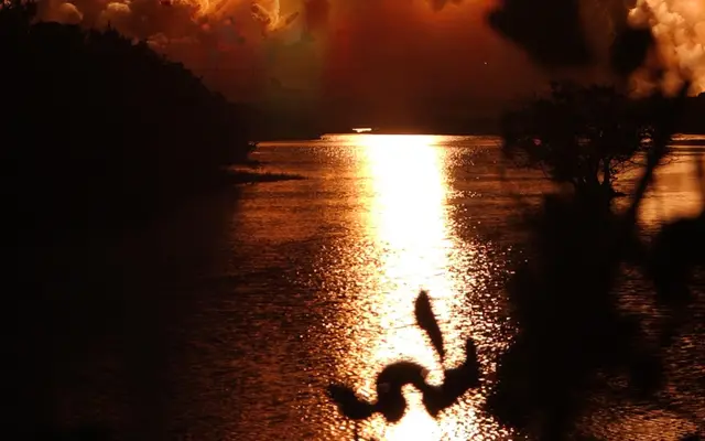 Discovery Night Launch