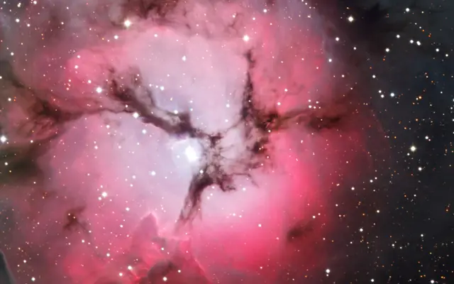 The Trifid Nebula