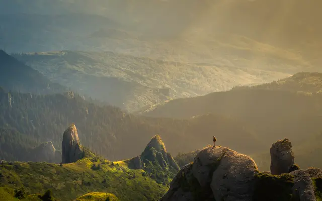 Alone in the Wilderness