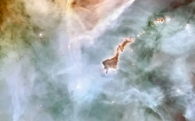 Carina's Hidden Stars