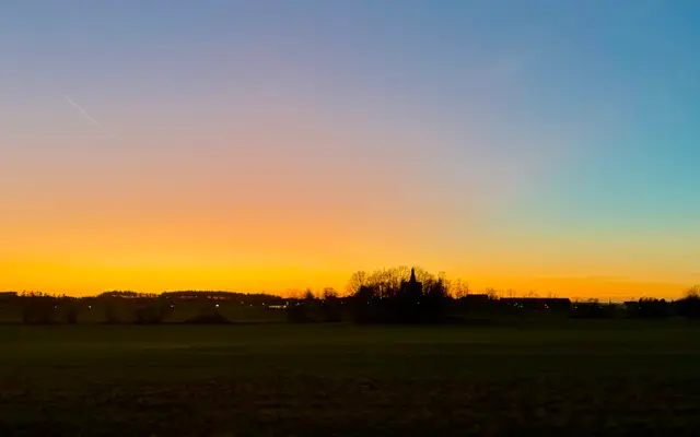 Evening sun