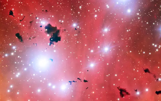 Thackeray's Globules