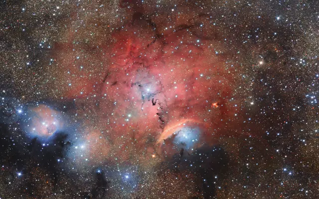 Stellar Nursery in Bloom
