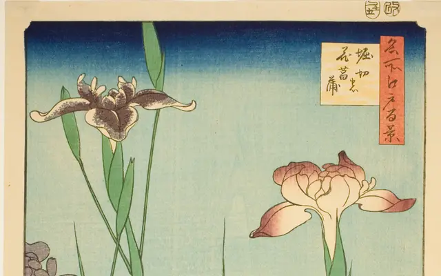 Irises at Horikiri